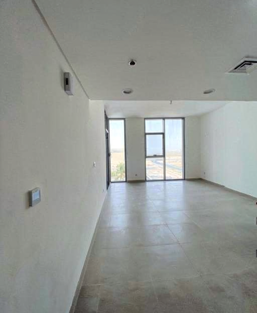 video image